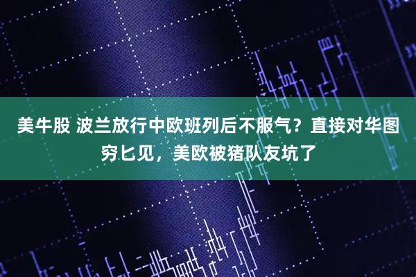 美牛股 波兰放行中欧班列后不服气?直接对华图穷匕见,美欧被猪队友坑了