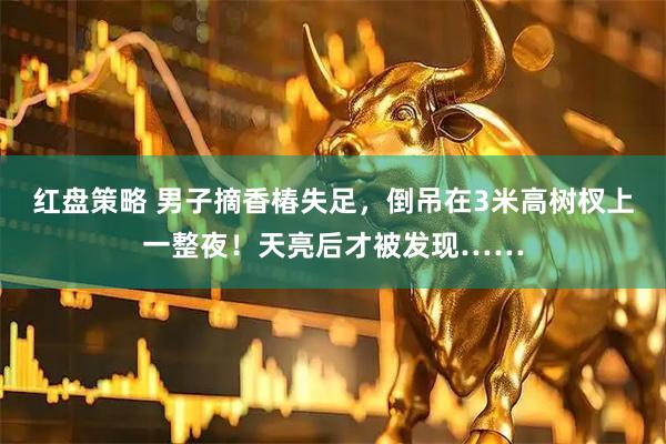 红盘策略 男子摘香椿失足，倒吊在3米高树杈上一整夜！天亮后才被发现……