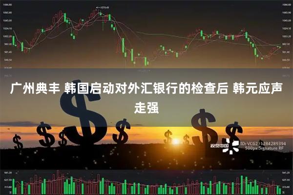 广州典丰 韩国启动对外汇银行的检查后 韩元应声走强