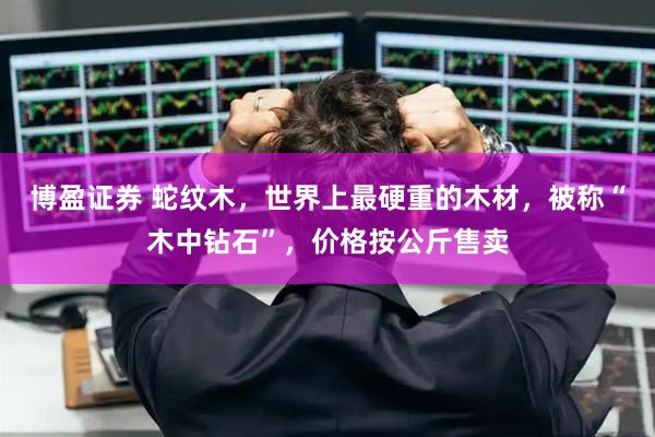 博盈证券 蛇纹木,世界上最硬重的木材,被称“木中钻石”,价格按公斤售卖