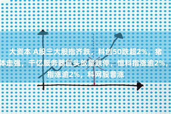 大资本 A股三大股指齐跌，科创50跌超2%，猪肉、白酒集体走强，千亿服务器巨头放量跌停，恒科指涨逾2%，科网股普涨